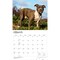BrownTrout; For the Love of American Pit Bull Terriers | 2027 14 x 24 Inch (Hanging) Monthly Deluxe Wall Calendar | Foil Stamped Cover | Plastic-Free; Category:Wall Calendars; Image:4